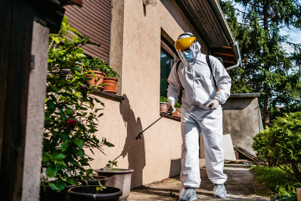 Best Termite Control Services  in Ramapo College Of New Jersey, NJ