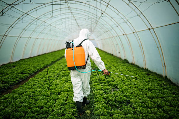 Best Pest Control Near Me  in Ramapo College Of New Jersey, NJ