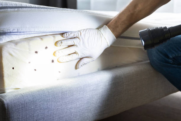 Pest Control for Restaurants in Ramapo College Of New Jersey, NJ