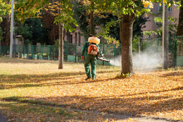 Spider Control Near Me in Ramapo College Of New Jersey, NJ