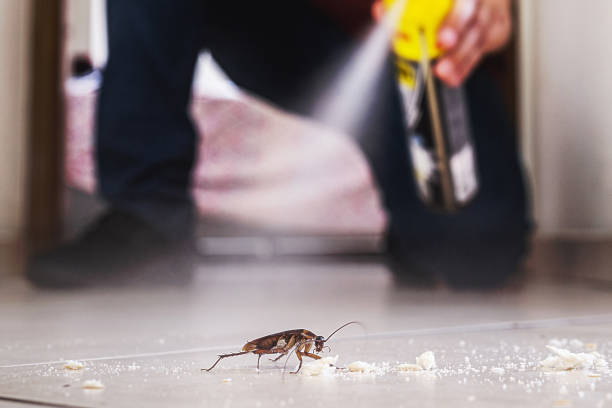 Best Pest Prevention Services  in Ramapo College Of New Jersey, NJ