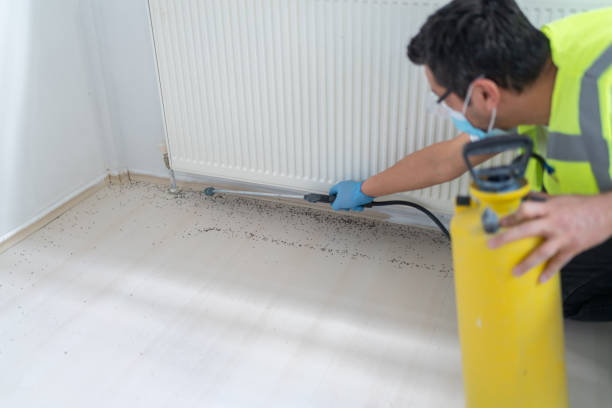 Best Pest Removal Services  in Ramapo College Of New Jersey, NJ