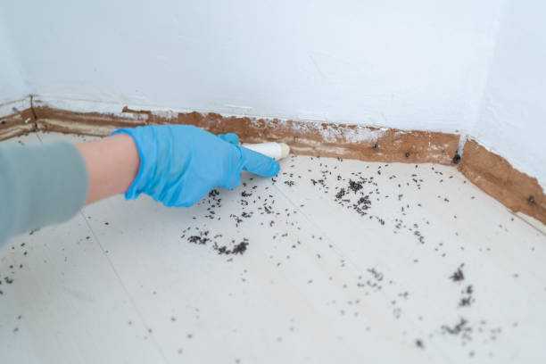 Best Bed Bug Extermination  in Ramapo College Of New Jersey, NJ